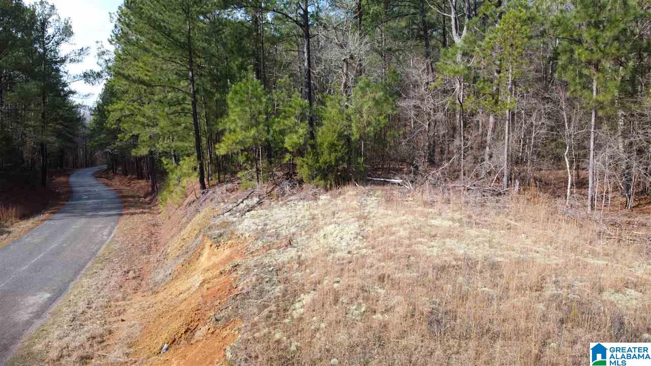 Landmark Road Talladega, AL 35160 - Photo 7 of 8