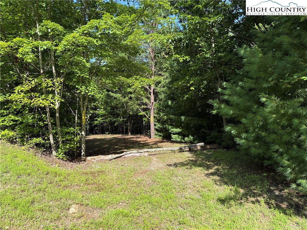 Lot 191-192 Casey Mountain Road Purlear, NC 28665 - Photo 20 of 50 a view of a yard with plants and trees
