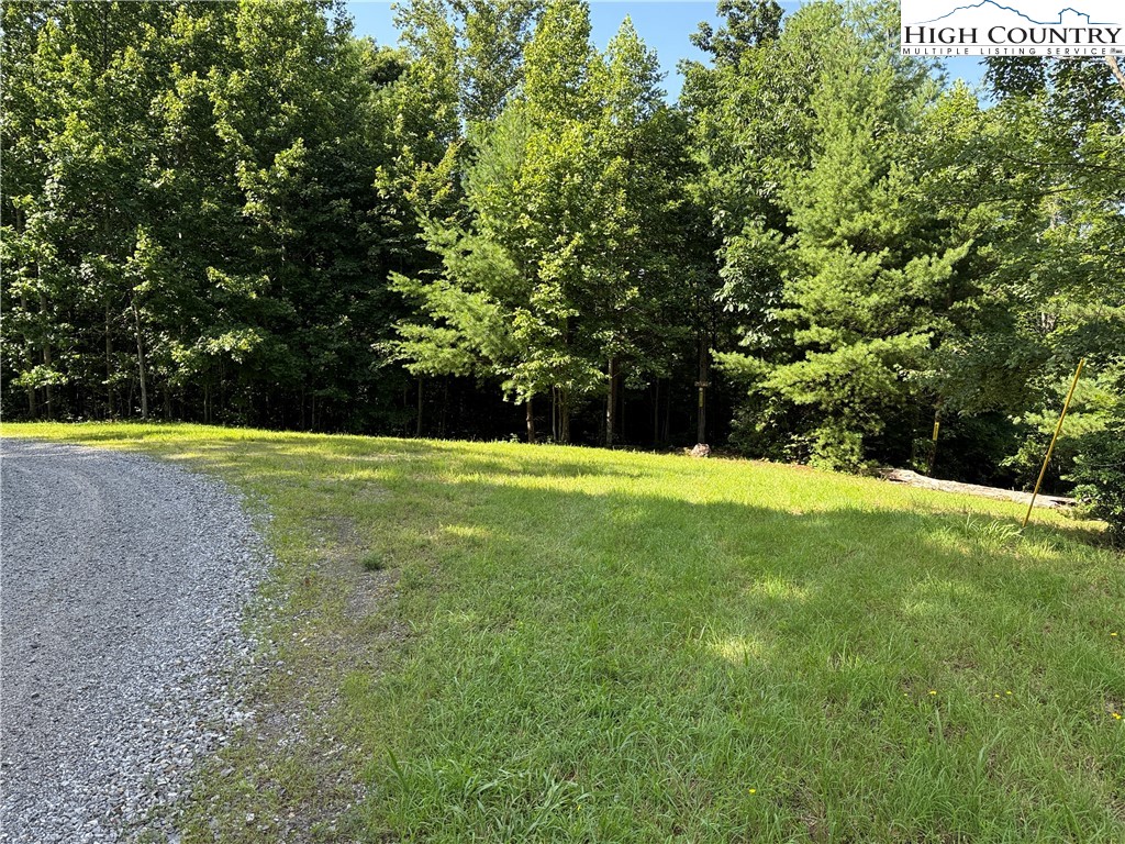 Lot 191-192 Casey Mountain Road Purlear, NC 28665 - Photo 5 of 50 a view of a field with trees in front of it