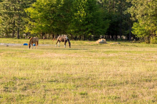 6225 River Road Waynesboro, GA 30830 - Photo 25 of 28