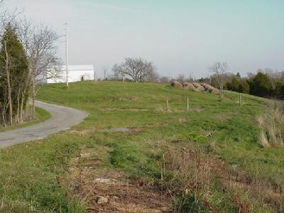 4270 Liberty Ridge Road Falmouth, KY 41040 - Photo 3 of 3 Gallery Image 3
