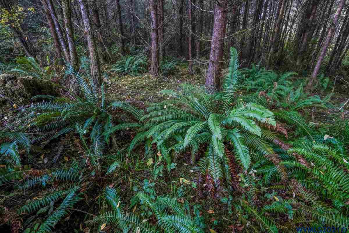 Meridian (ta 392239) Road Lebanon, OR 97355 - Photo 20 of 32