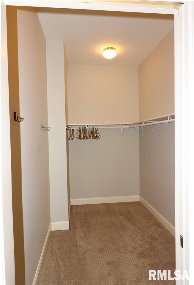6005 North Kickapoo-Edwards Road Edwards, IL 61528 - Photo 20 of 36 Gallery Image 20