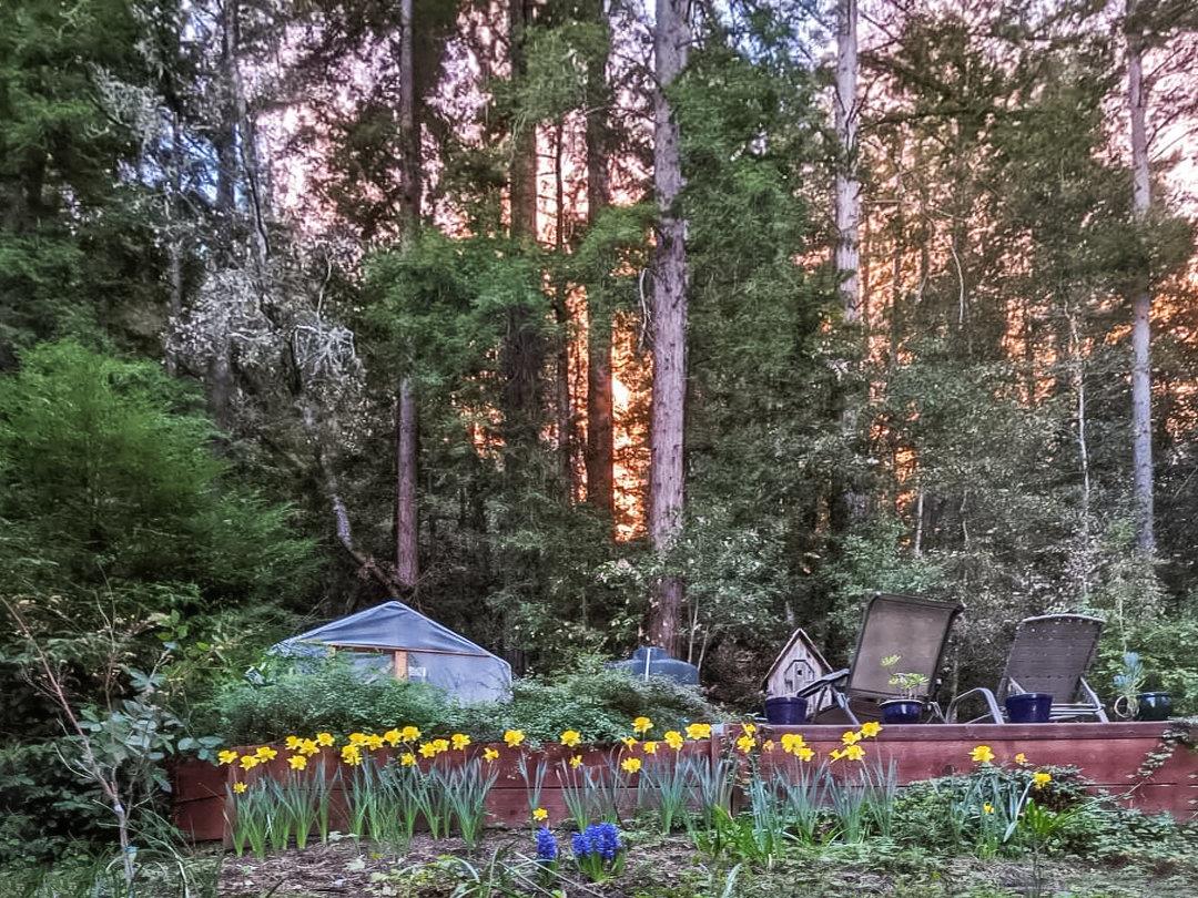 805 Fanning Grde Ben Lomond, CA 95005 - Photo 48 of 60