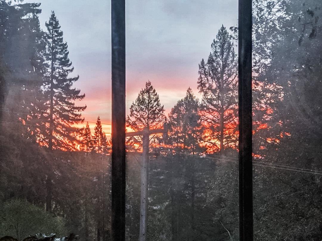 805 Fanning Grde Ben Lomond, CA 95005 - Photo 50 of 60 a view of a tree