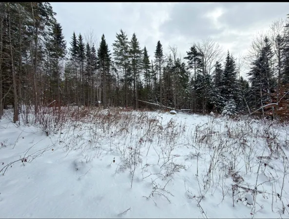 $124,900 | 40 Bear Paw Trail, Littleton, NH 03561