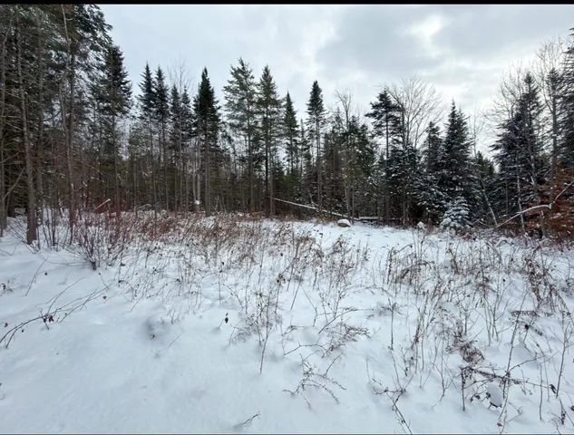 $124,900 | 40 Bear Paw Trail, Littleton, NH 03561