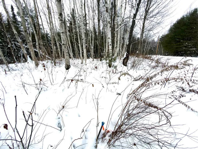 $124,900 | 40 Bear Paw Trail, Littleton, NH 03561