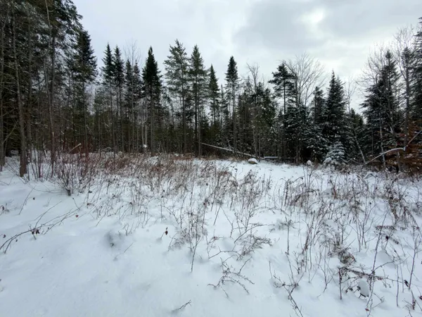 $124,900 | 40 Bear Paw Trail, Littleton, NH 03561