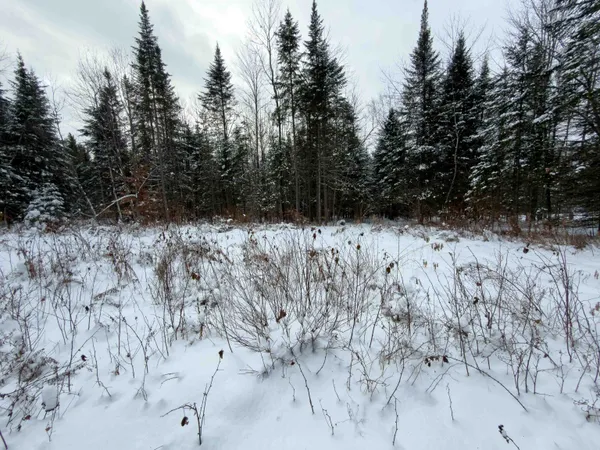 $124,900 | 40 Bear Paw Trail, Littleton, NH 03561