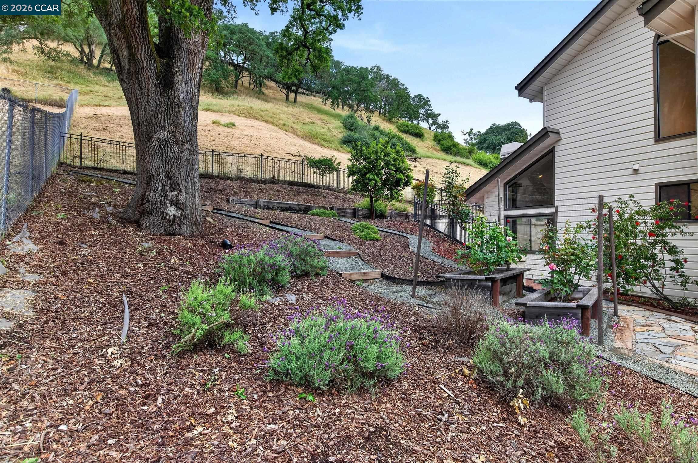 58 Saddle Road Walnut Creek, CA 94595 - Photo 42 of 45