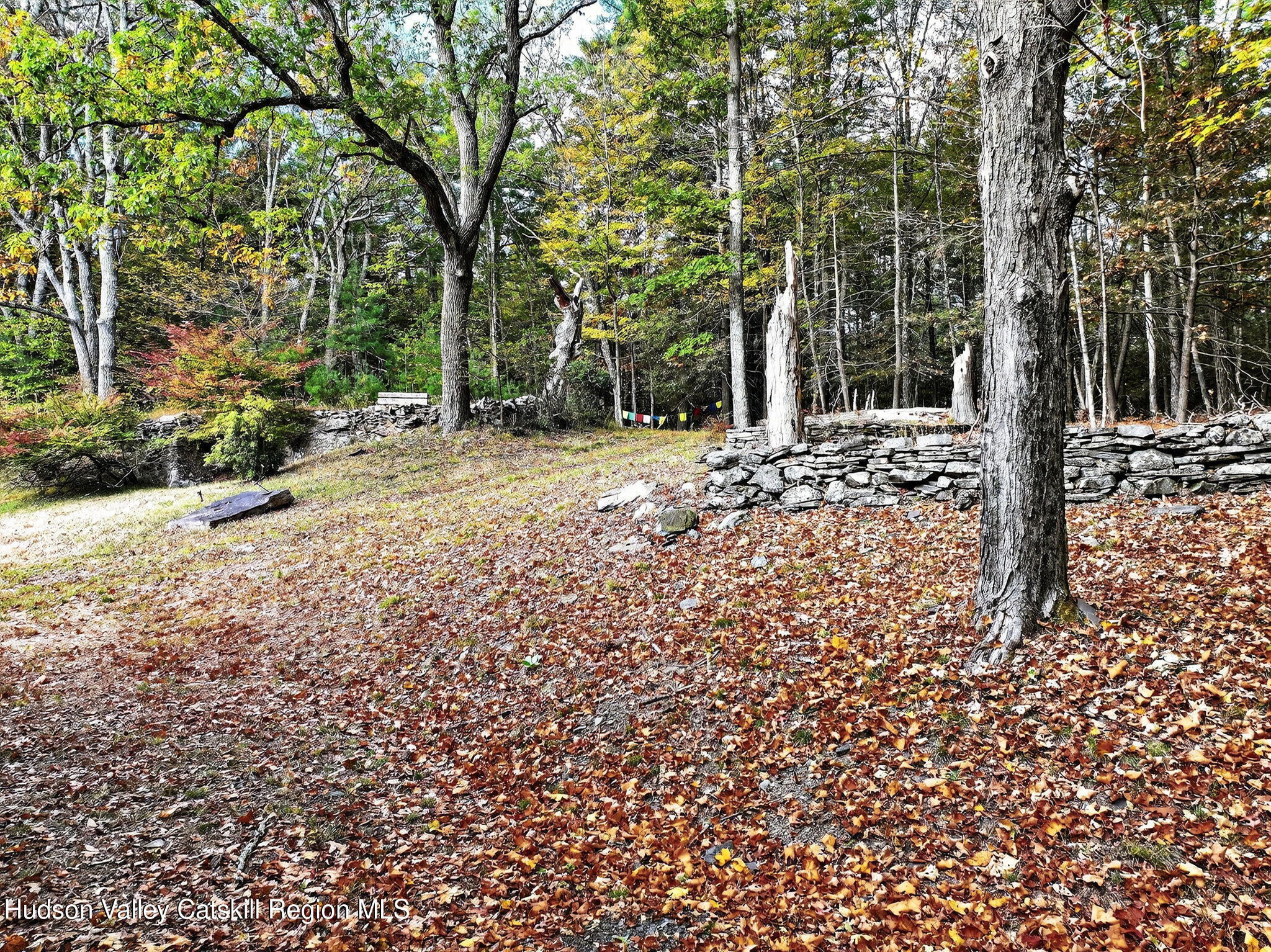 1045 Church Road Saugerties, NY 12477 - Photo 54 of 56 a view of a yard with plants and trees