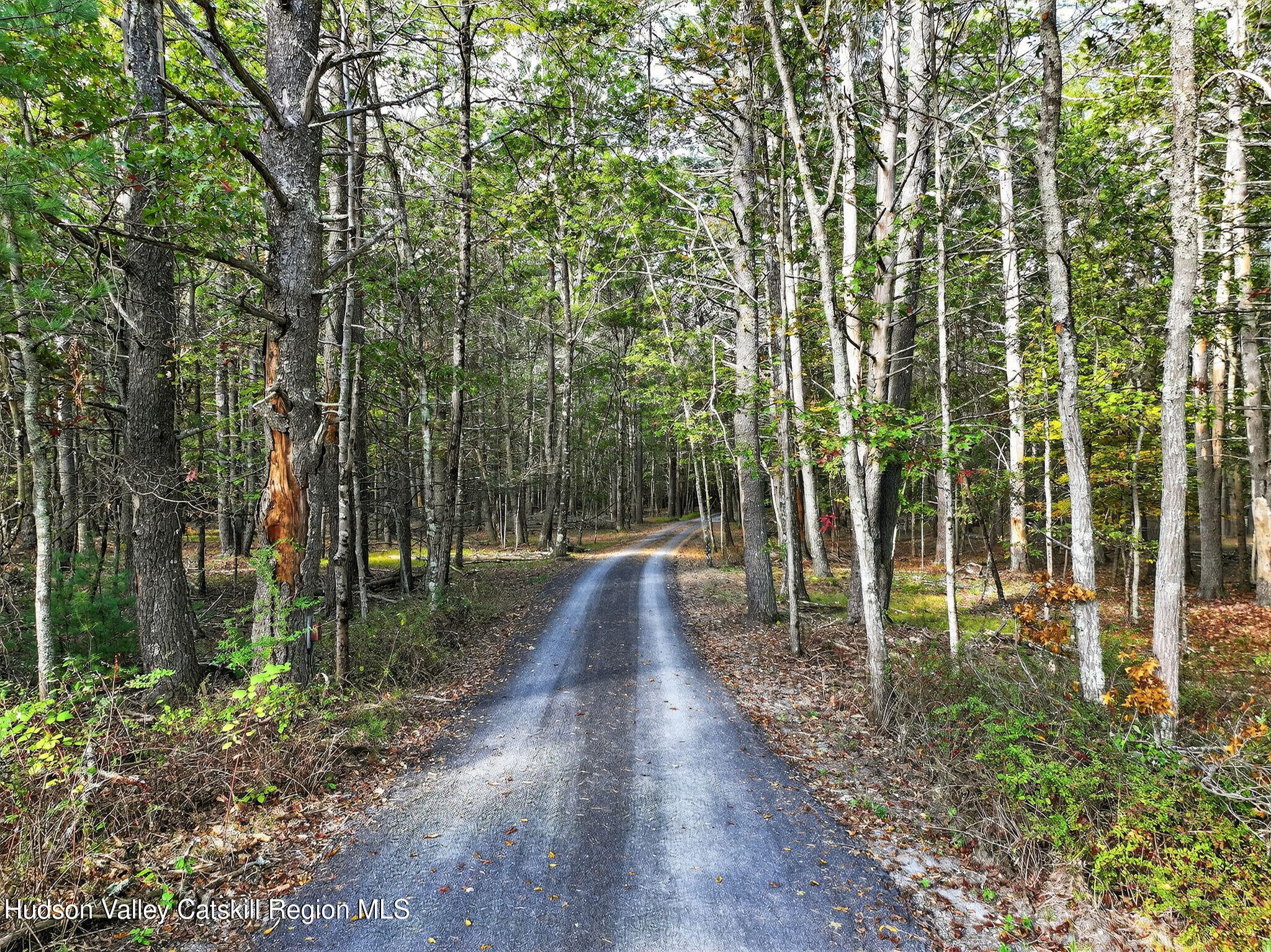 1045 Church Road Saugerties, NY 12477 - Photo 8 of 56 117-web-or-mls-1045-church-rd