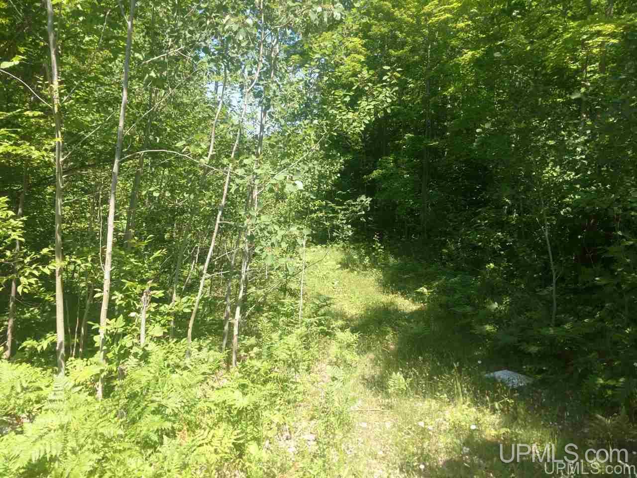 Tbd Karschney Road South Lanse, MI 49946 - Photo 5 of 11