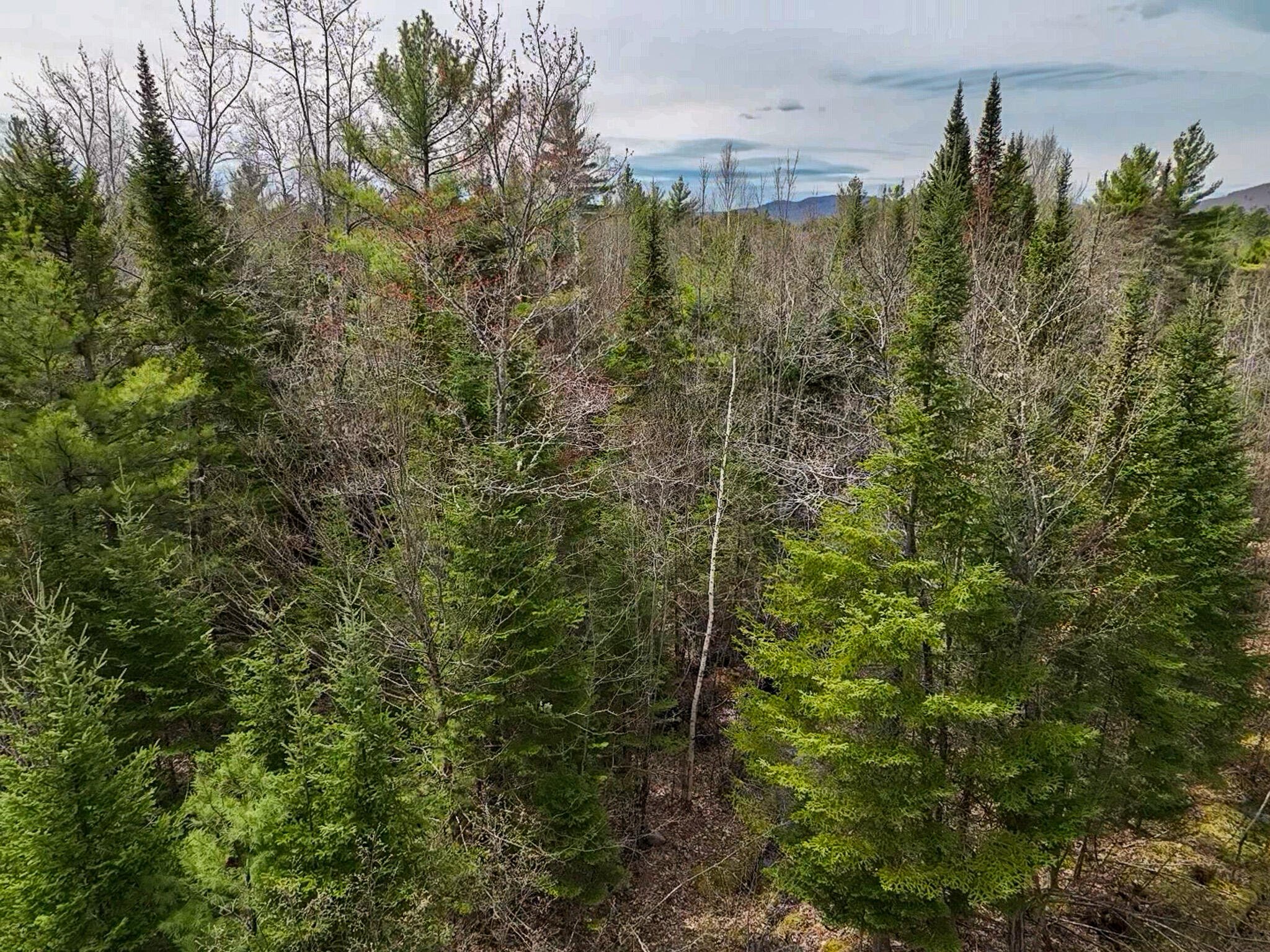 0 West Side Road Dixfield, ME 04224 - Photo 9 of 10 2026-05-09-11-44-54-713