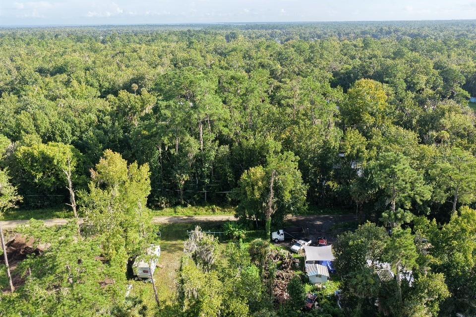 Gobbler Road Astor, FL 32102 - Photo 16 of 33 Gallery Image 16