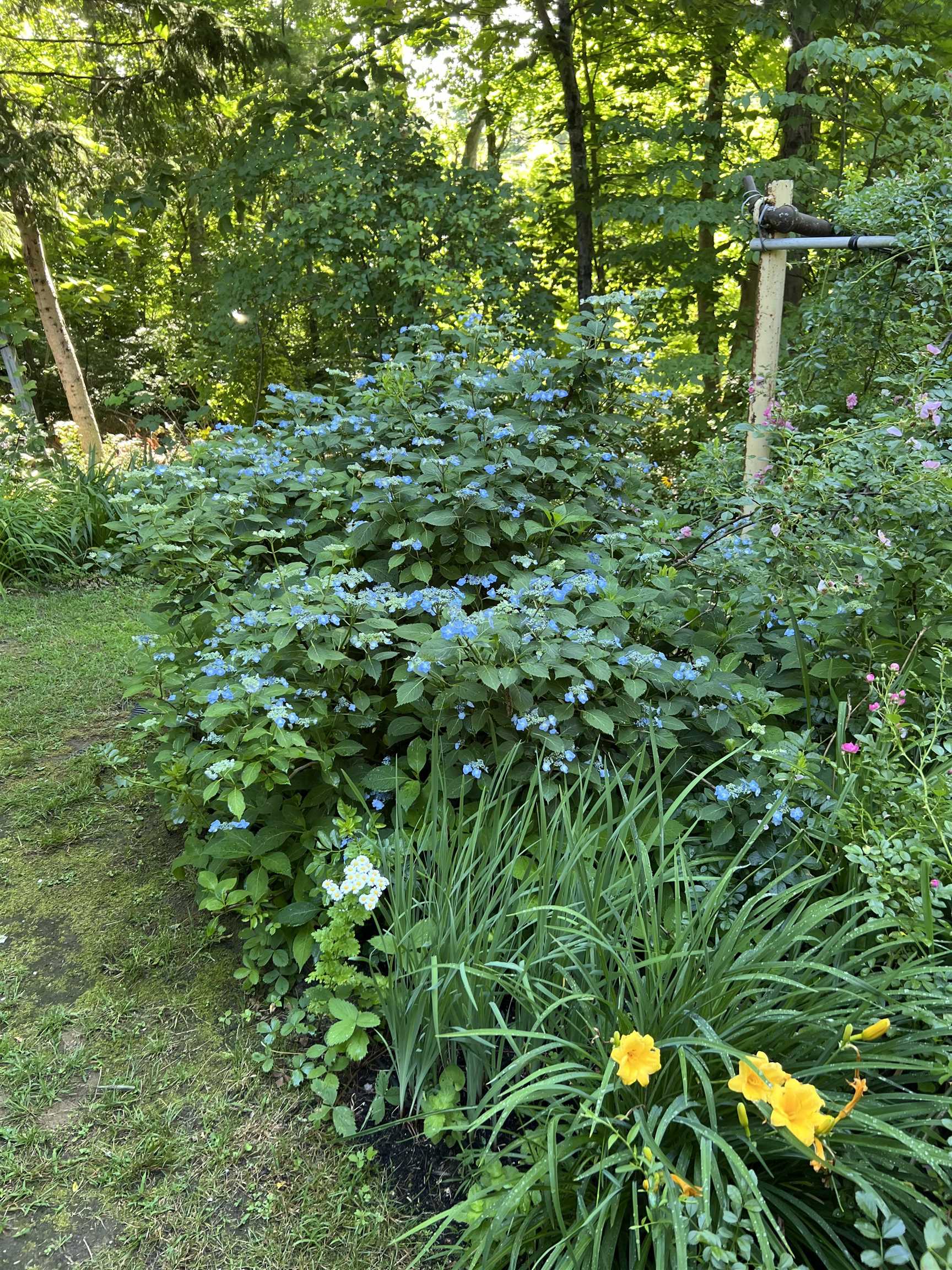 171 Crawley Falls Road Brentwood, NH 03833 - Photo 6 of 29
