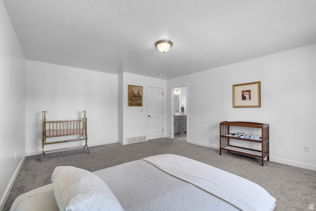 703 West 950 S Street Springville, UT 84663 - Photo 15 of 27