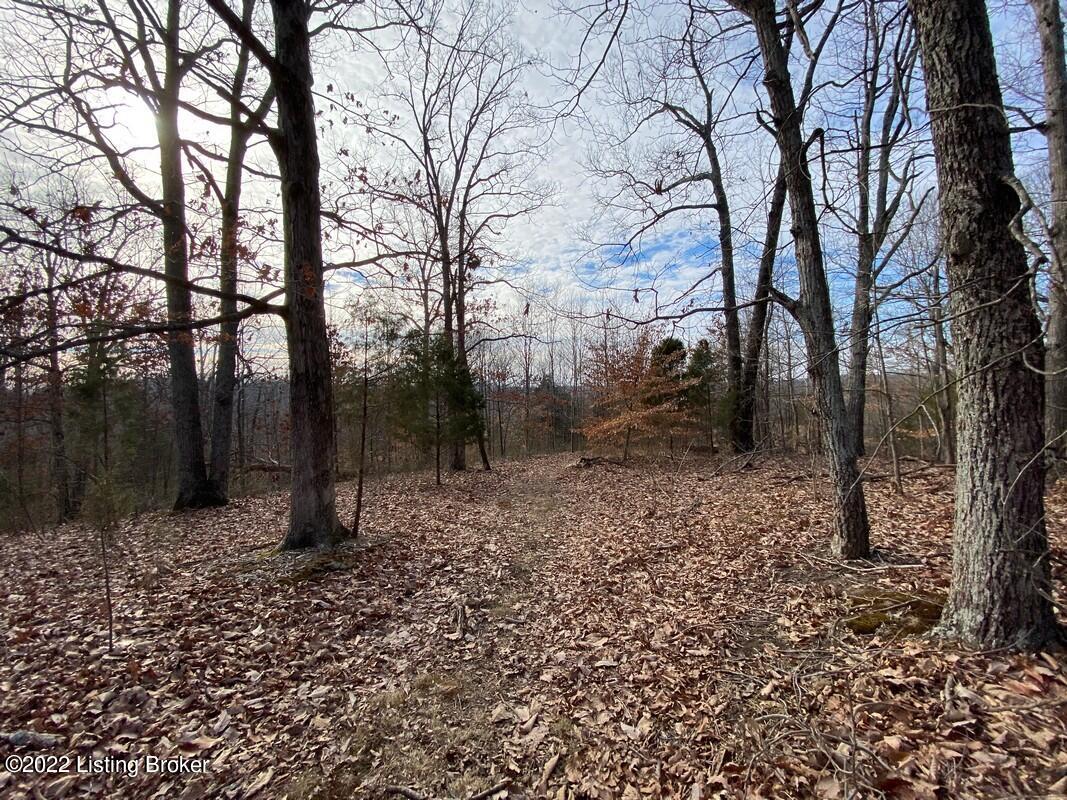1277 Junction Road Falls Of Rough, KY 40119 - Photo 37 of 46 1277 Junction Rd31