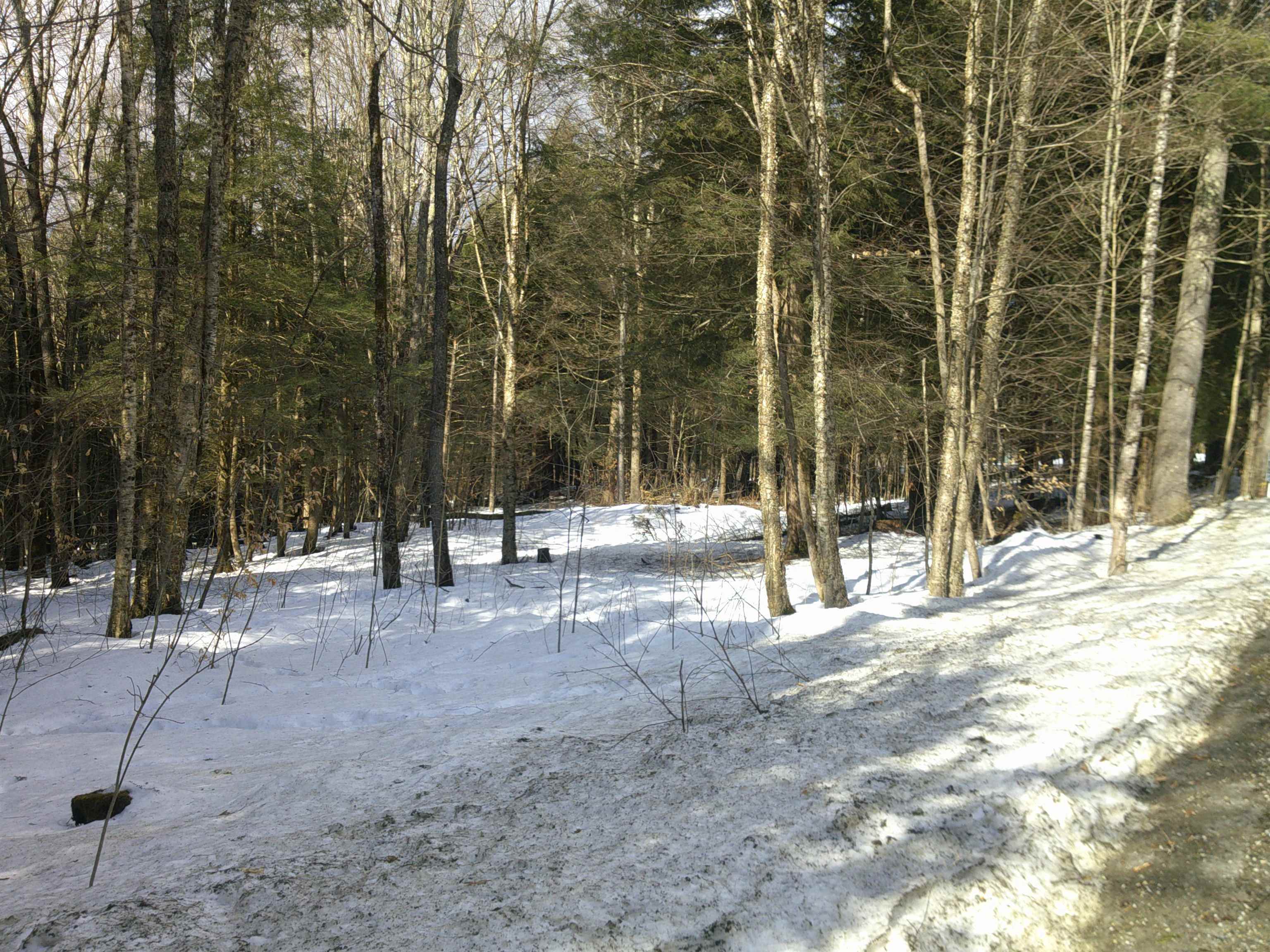 0 Plot Road, Unit 2 Johnson, VT 05656 - Photo 27 of 29