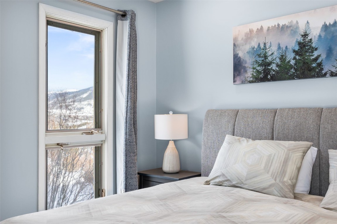 21-29 Buffalo Drive, Unit 222 Silverthorne, CO 80498 - Photo 20 of 35