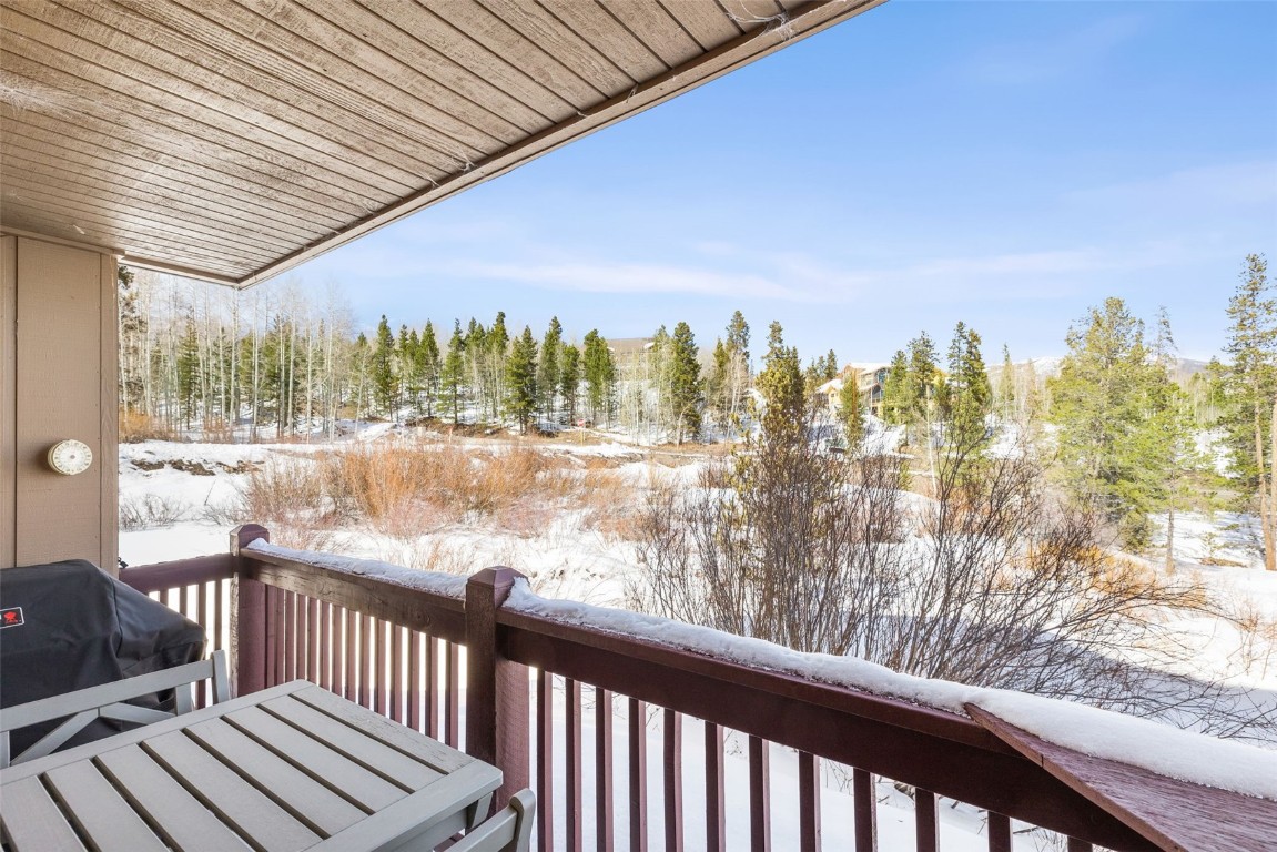 21-29 Buffalo Drive, Unit 222 Silverthorne, CO 80498 - Photo 32 of 35