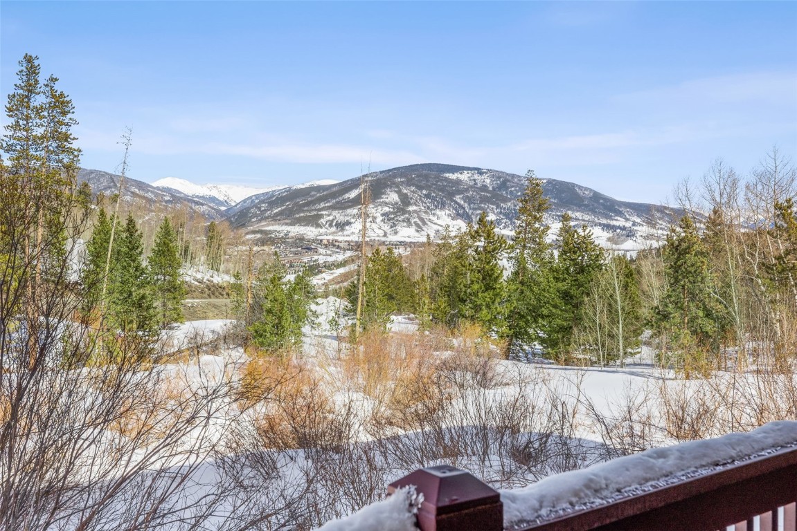 21-29 Buffalo Drive, Unit 222 Silverthorne, CO 80498 - Photo 34 of 35