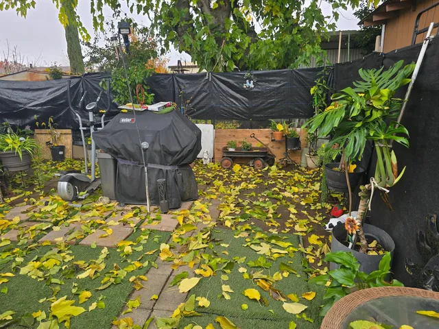 a view of outdoor space and yard