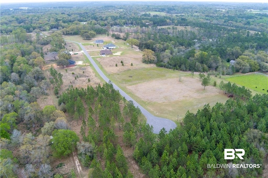 47 Hampton Ridge Mobile, AL 36608 - Photo 8 of 9 Aerial view of property and surrounding area with rural landscape and a heavily wooded area