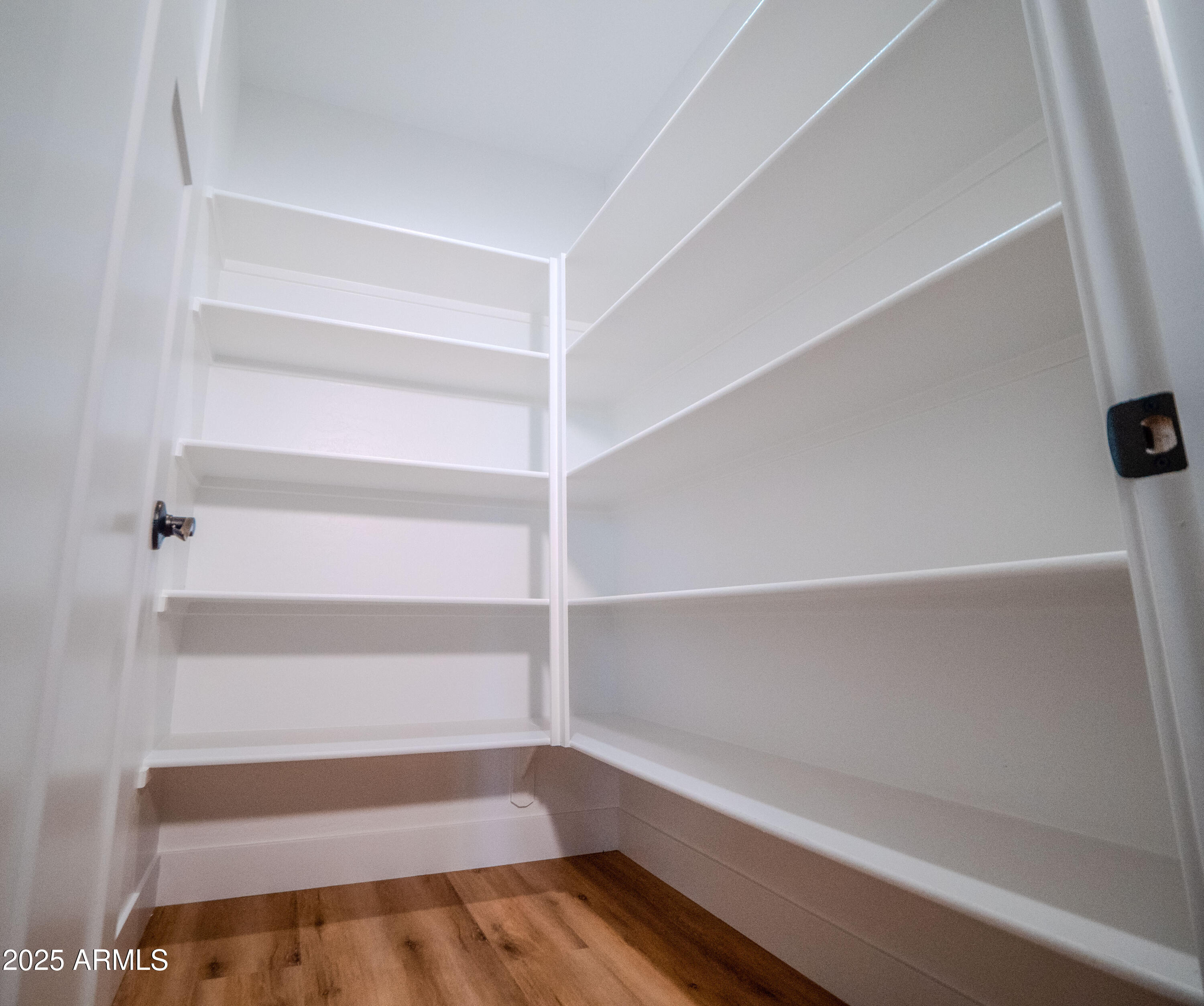 941 South Ridgeway Place Show Low, AZ 85901 - Photo 14 of 67 a view of walk in closet with empty racks