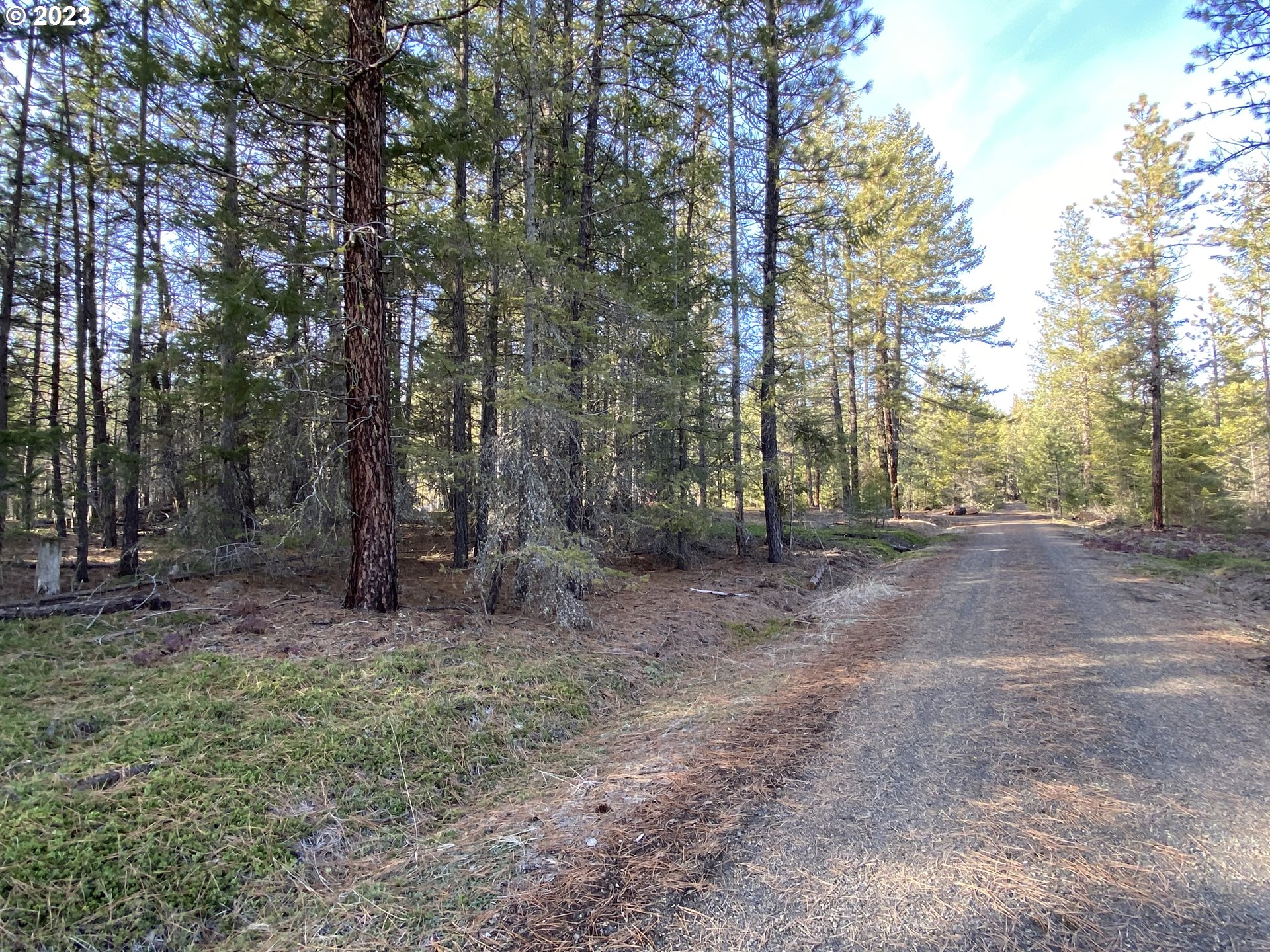 505 Buckshot Road Goldendale, WA 98620 - Photo 11 of 30 Gallery Image 11