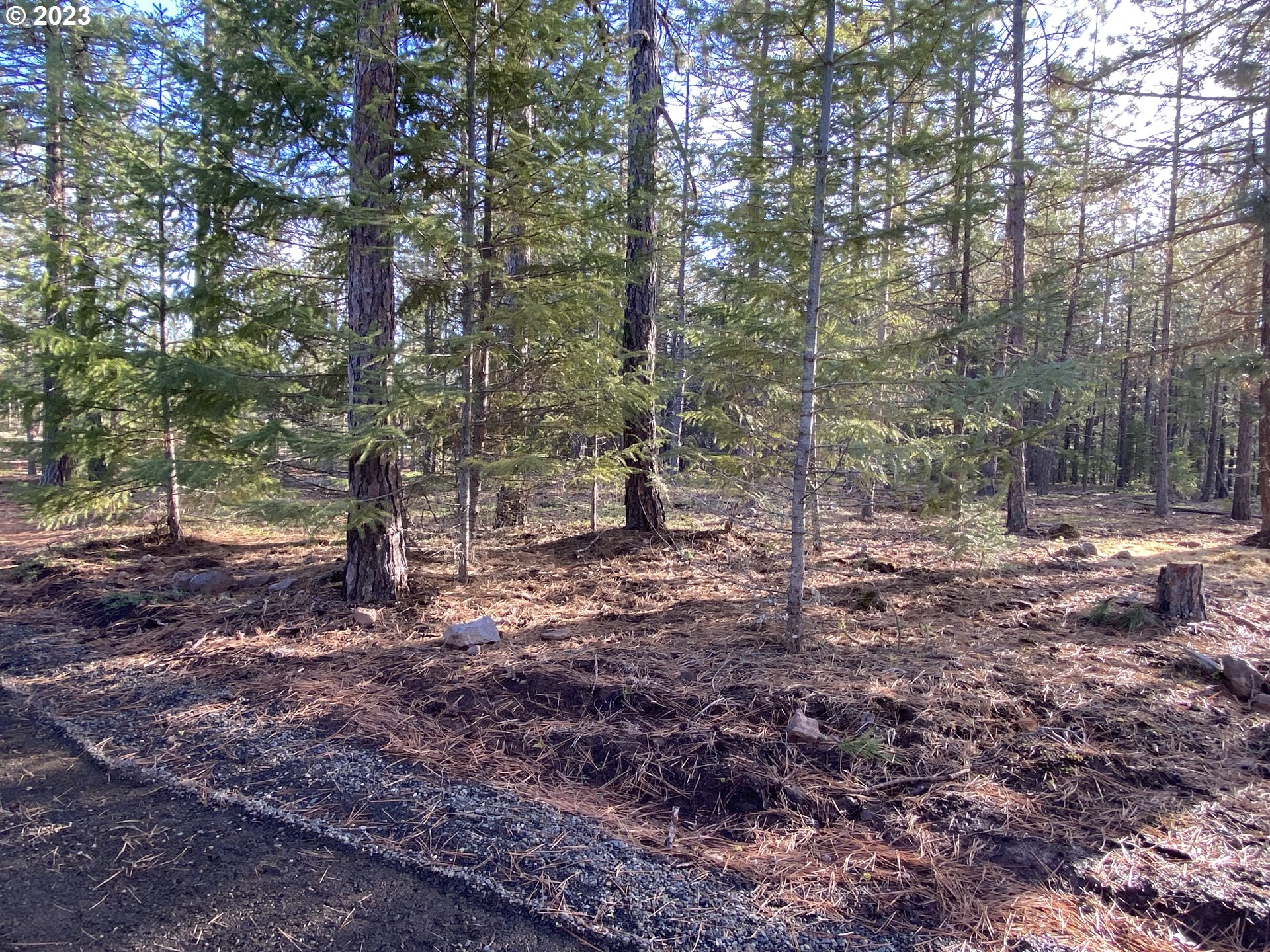 505 Buckshot Road Goldendale, WA 98620 - Photo 13 of 30 Gallery Image 13