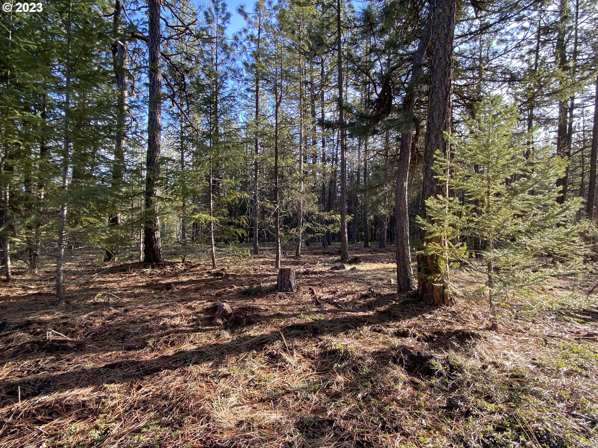 505 Buckshot Road Goldendale, WA 98620 - Photo 15 of 30 Gallery Image 15