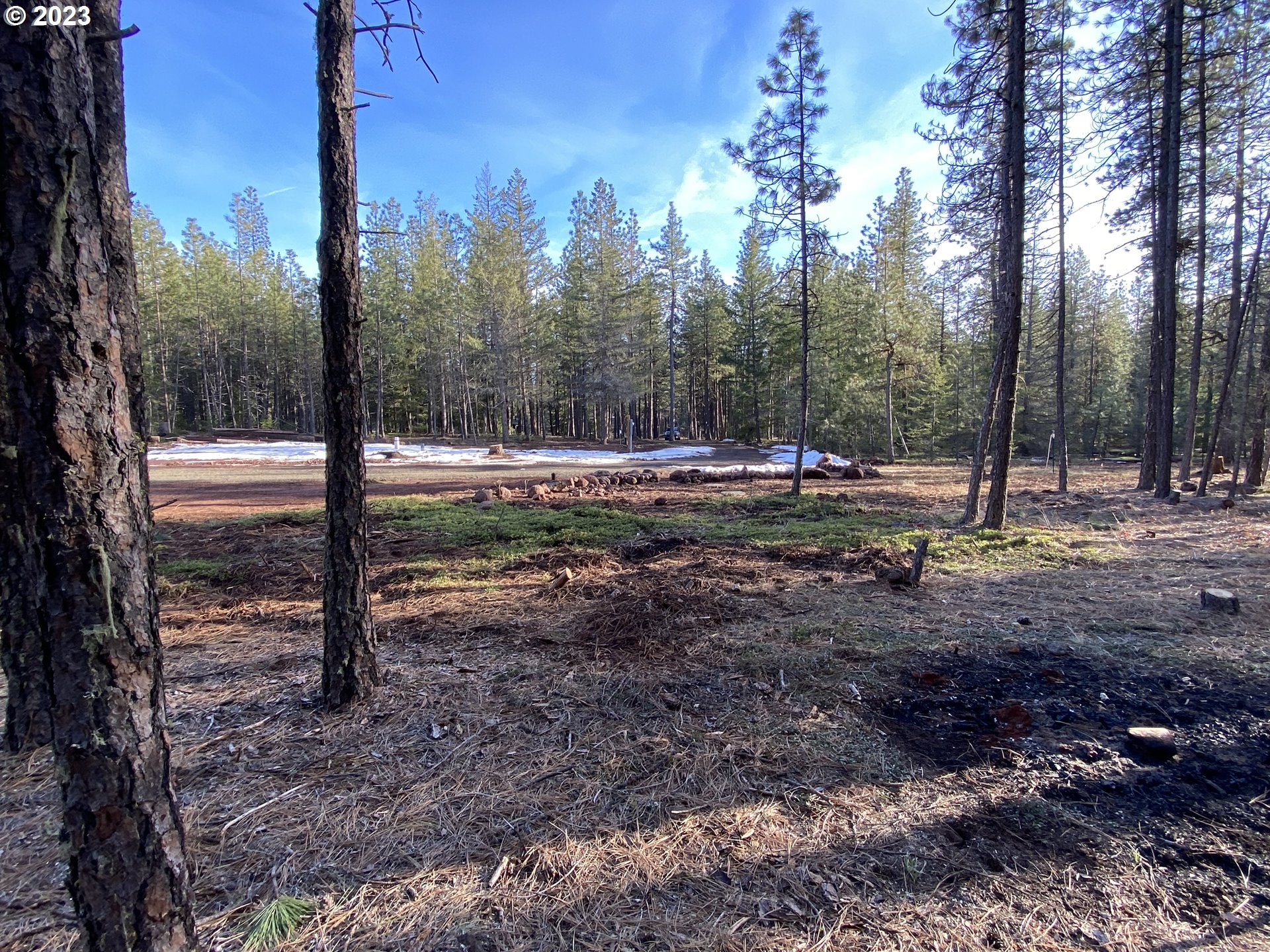 505 Buckshot Road Goldendale, WA 98620 - Photo 19 of 30 Gallery Image 19