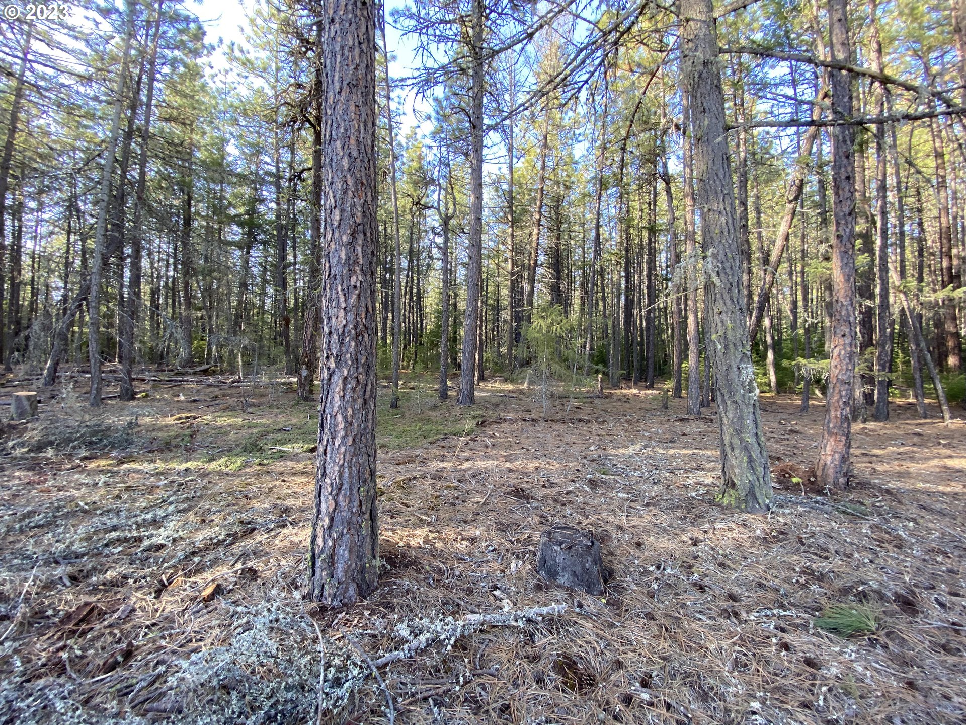 505 Buckshot Road Goldendale, WA 98620 - Photo 20 of 30 Gallery Image 20