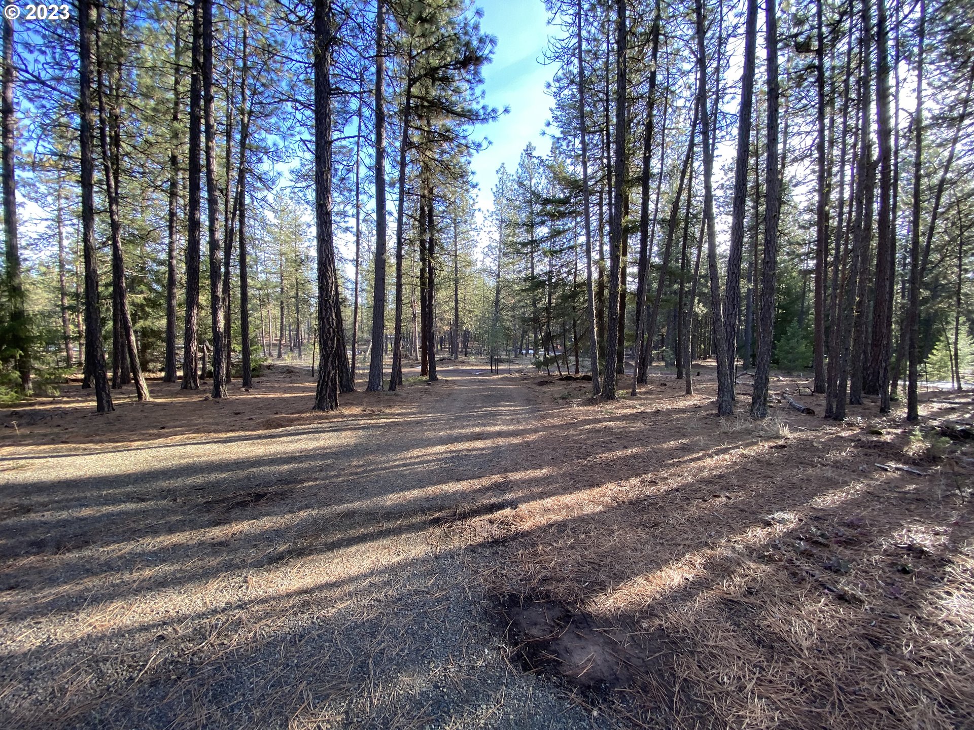 505 Buckshot Road Goldendale, WA 98620 - Photo 8 of 30 Gallery Image 8