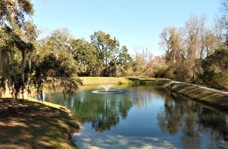 1932 Chatelain Way Mount Pleasant, SC 29464 - Photo 18 of 26 20190227180822524717000000-o
