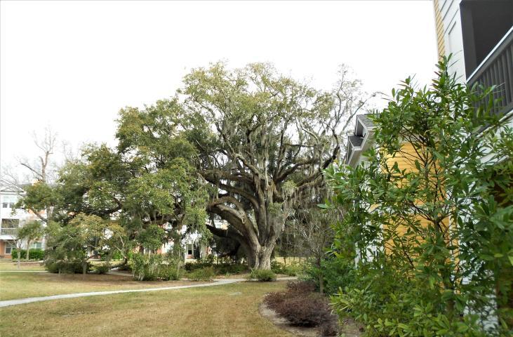 1932 Chatelain Way Mount Pleasant, SC 29464 - Photo 19 of 26 20190227180841892110000000-o