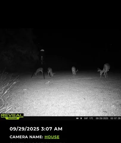 $320,000 | 205 Country Lane, Malakoff, TX 75148