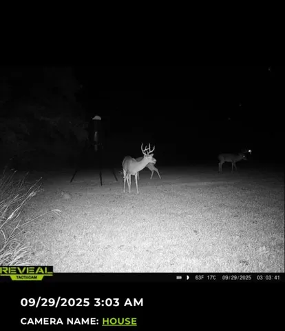 $320,000 | 205 Country Lane, Malakoff, TX 75148