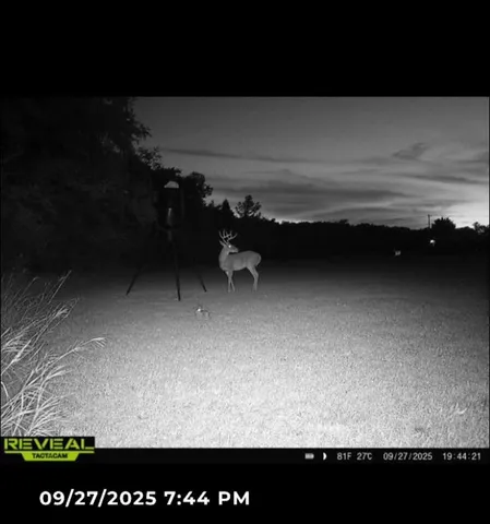 $320,000 | 205 Country Lane, Malakoff, TX 75148