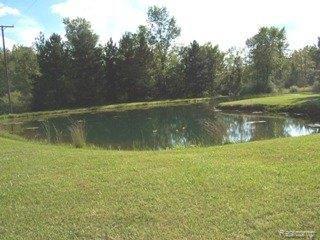 6830 Chambers Road Millington, MI 48746 - Photo 9 of 25 pond in frot yard