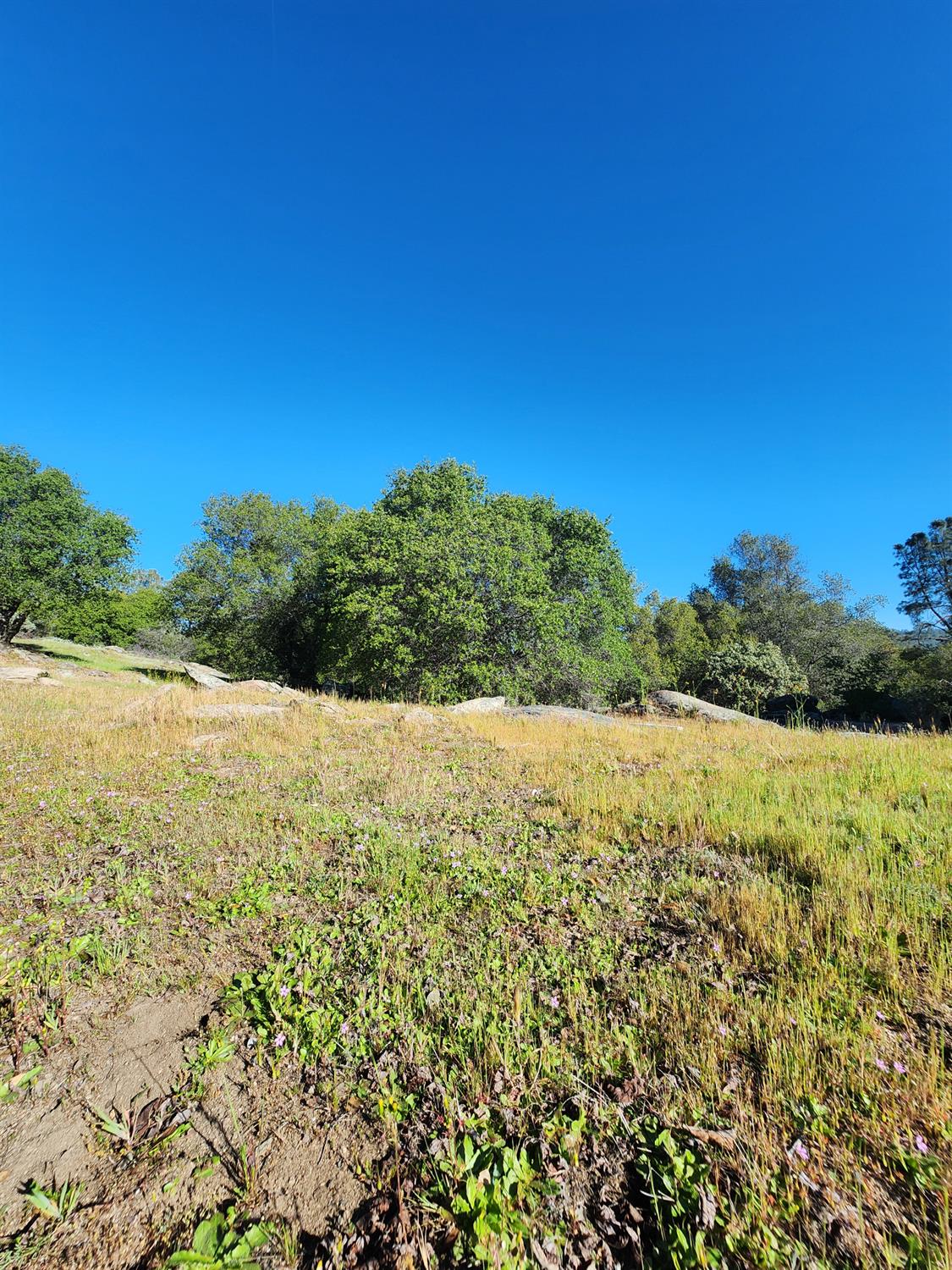0 Rocky Ridge Road Coarsegold, CA 93614 - Photo 3 of 3 Gallery Image 3