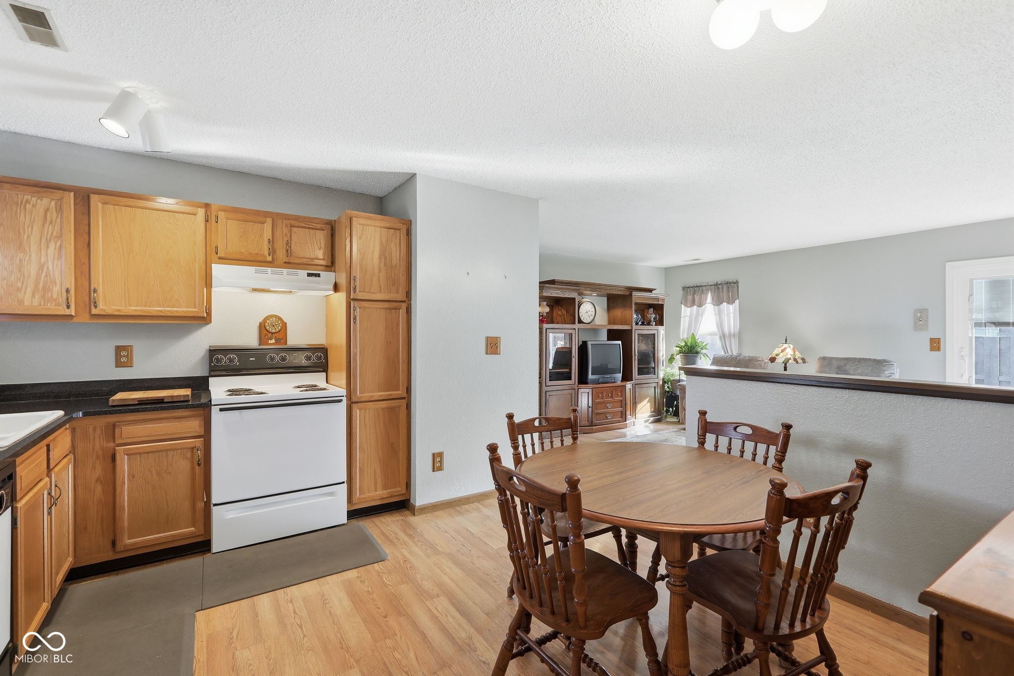 1217 Squirrel Ridge Road Anderson, IN 46013 - Photo 6 of 22