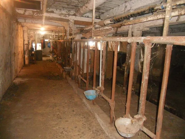 $325,000 | 660 Straits Corners Road, Candor, NY 13743