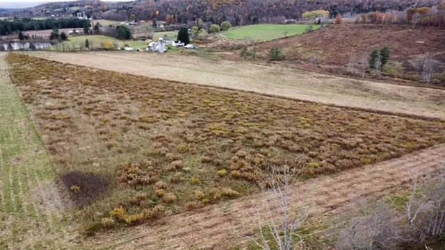 $325,000 | 660 Straits Corners Road, Candor, NY 13743