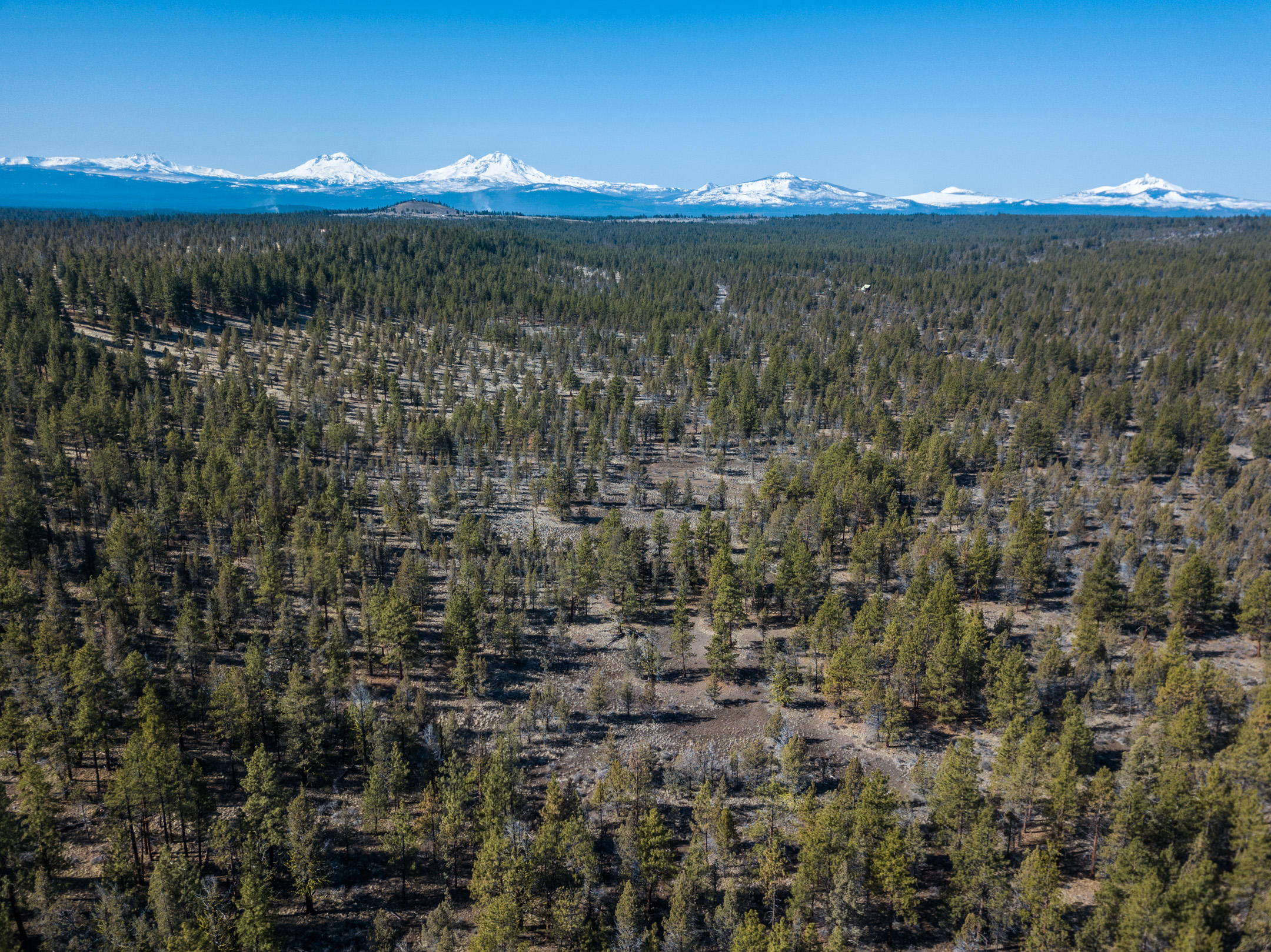 17515 Wilt Road Sisters, OR 97759 - Photo 4 of 14 40 Acres