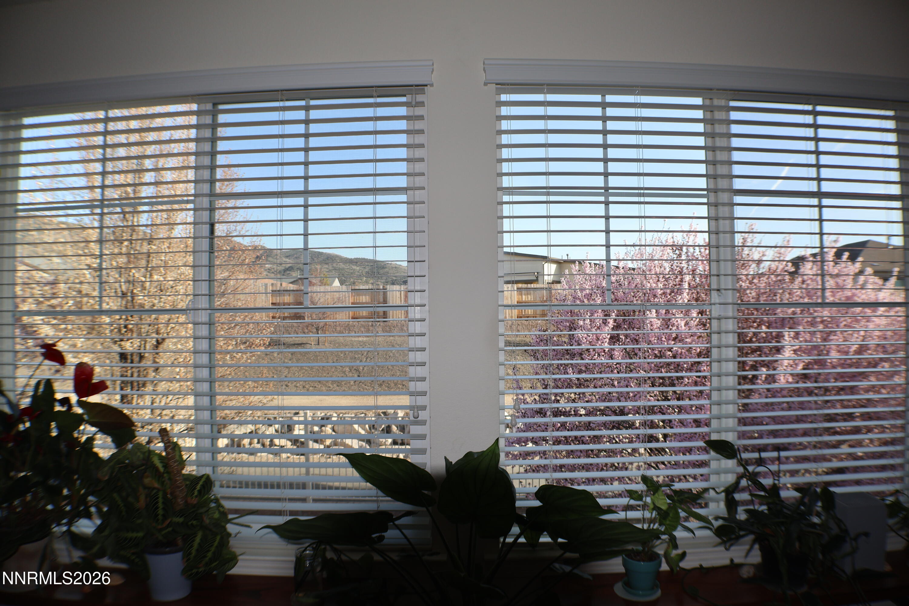 2056 Whitecliff Drive Reno, NV 89521 - Photo 48 of 69 IMG_0068