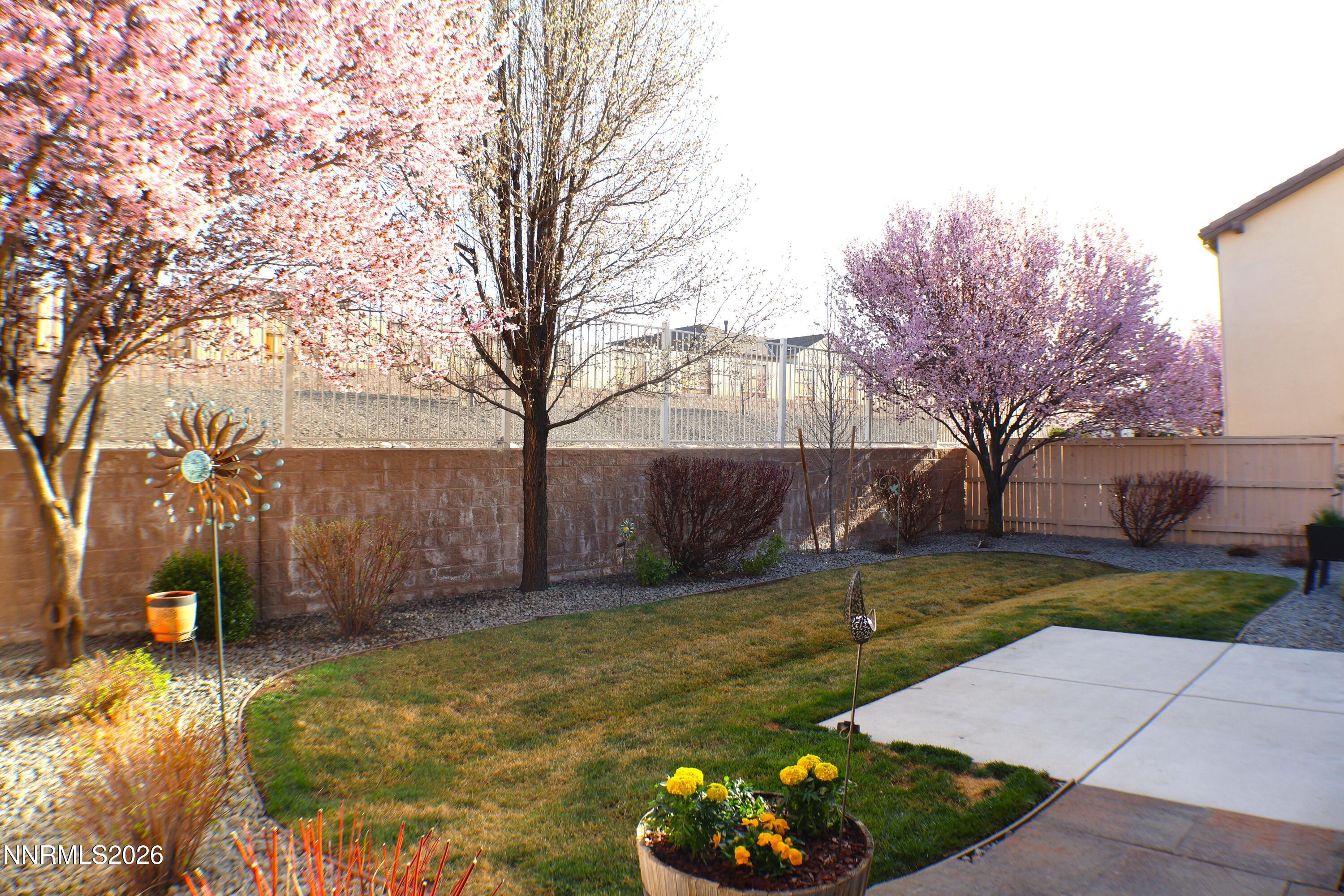 2056 Whitecliff Drive Reno, NV 89521 - Photo 65 of 69 Back 1