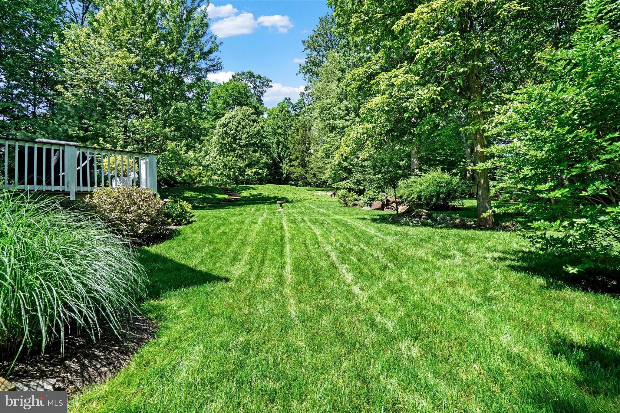 669 Woodburne Road Lewisberry, PA 17339 - Photo 28 of 44 a lush green forest with lots of trees